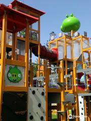 Angry Brids Activity Park