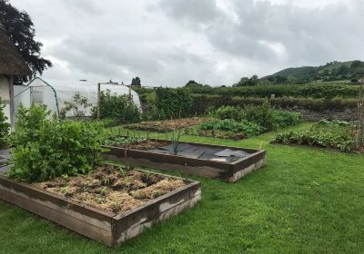 The Kitchen Garden Ty Mawr