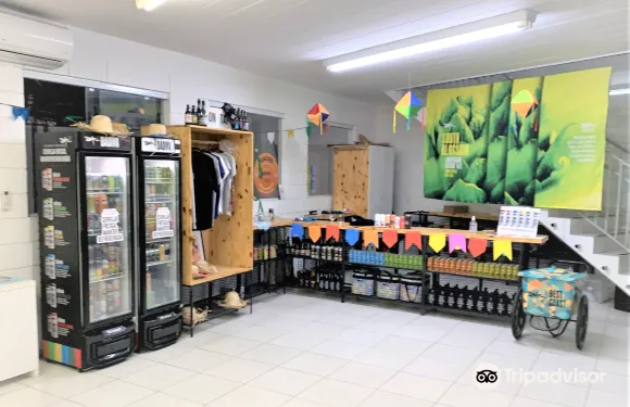 瓦爾澤亞－保利斯塔