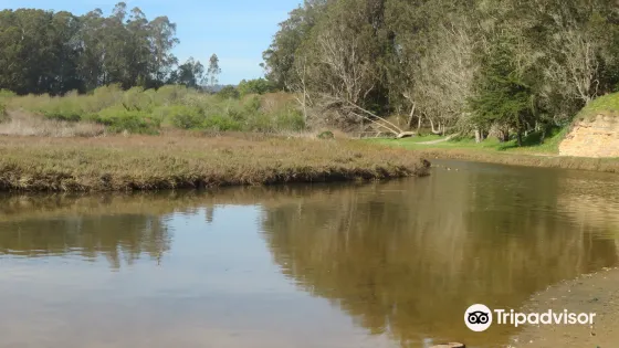 Moore Creek Preserve