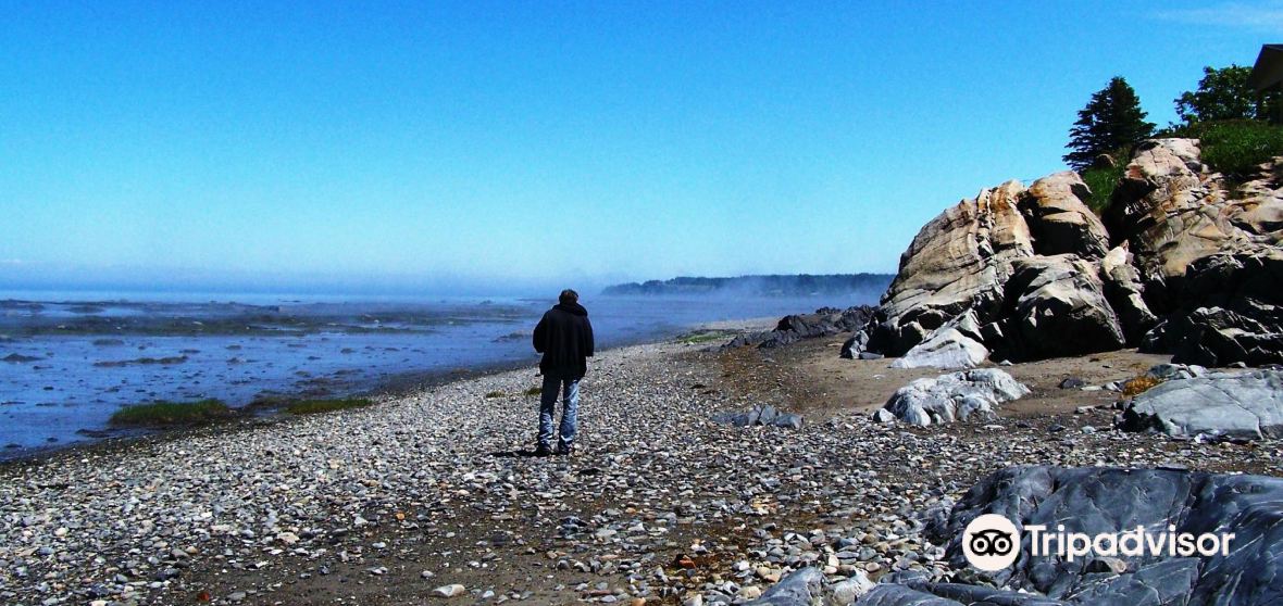 Things to Do in RiviereOuelle in 2024 Top Attractions, Local Food