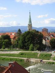 Kathedrale von Celje