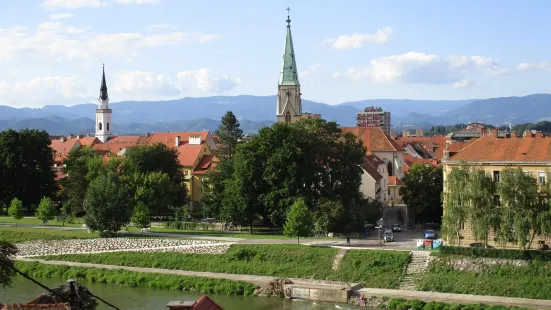 Celje Cathedral