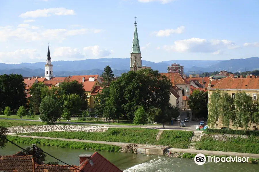 Celje Cathedral