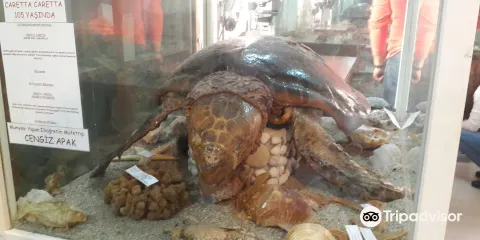 Ayse Sidika Erke Ethnography Museum