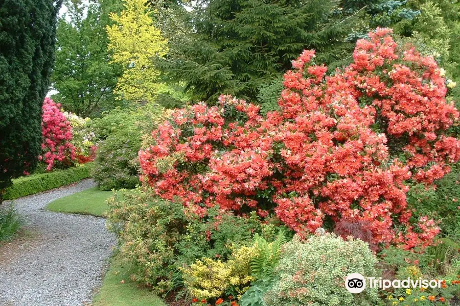 Kinlochlaich Garden Centre