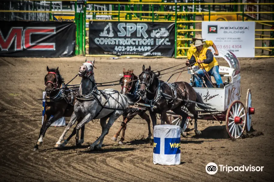 Strathmore Stampede