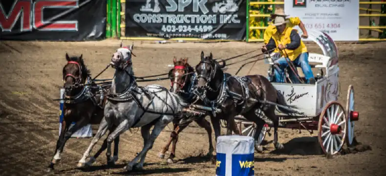 斯特拉斯莫爾酒店