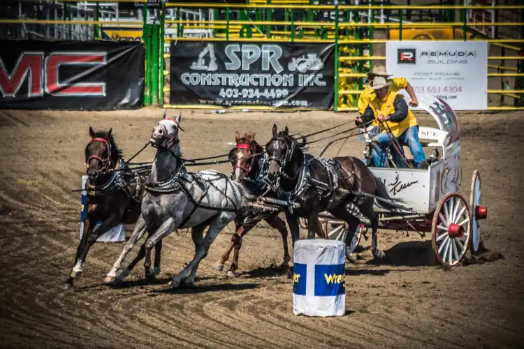 Hotels in Strathmore