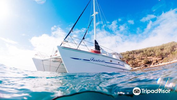 Funtastic Cruises