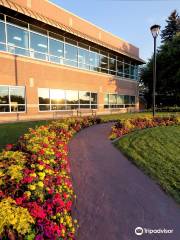 Medicine Hat Public Library