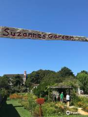 Suzanne's Garden