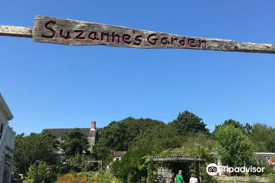 Suzanne's Garden