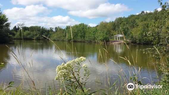 Mapleton Park