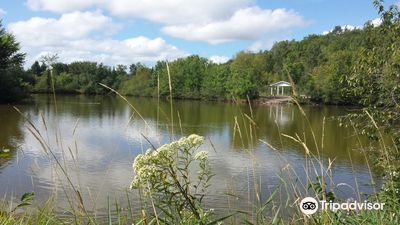 Mapleton Park