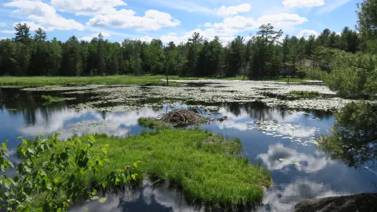 Mashkinonje Provincial Park