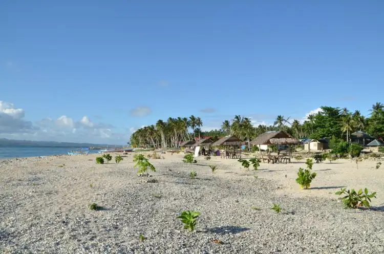 Hotels in Palodia