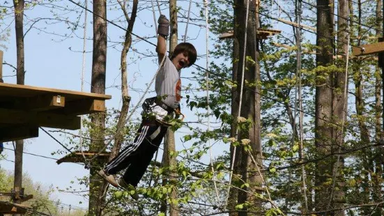 TreeRunner West Bloomfield Adventure Park