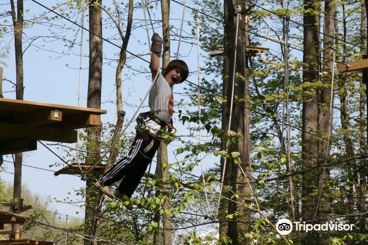 TreeRunner West Bloomfield Adventure Park, Putt Forest & Bounce Forest