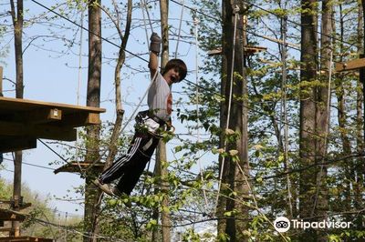 TreeRunner West Bloomfield Adventure Park, Putt Forest & Bounce Forest