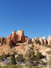 Mossy Cave Trail