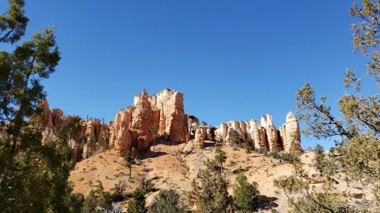 Mossy Cave Trail