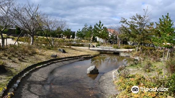 Yuhigaura Onsen Hanayumi