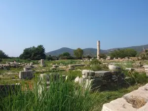 Archaeological Site at Heraion of Samos
