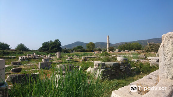Archaeological Site at Heraion of Samos
