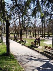 Parco Regina Margherita