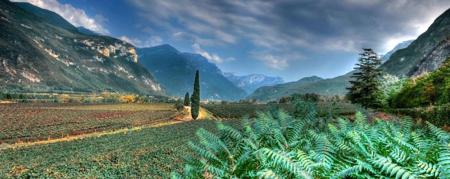 Azienda Agricola Albino Armani 1607
