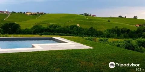 Stra Viticoltori con Foresteria