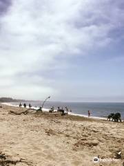 Rio Del Mar State Beach