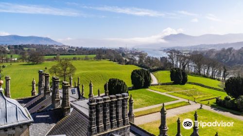 Narrow Water Castle