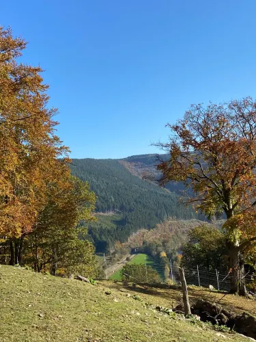 Les Cascades de Coo