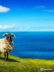 Erris Head Loop Walk