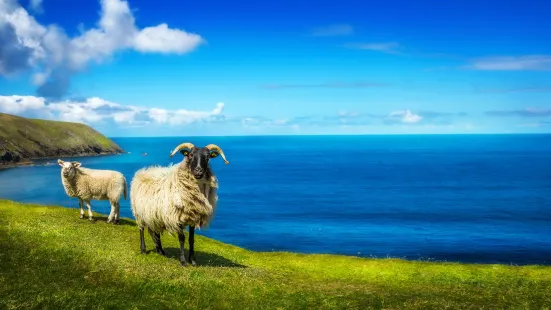 Erris Head Loop Walk