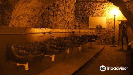 Miroslav Paral Art Gallery