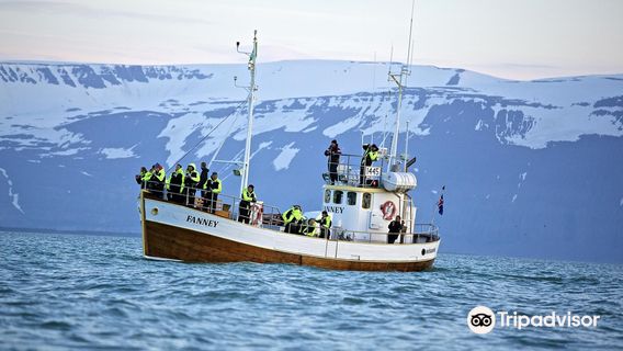 Salka Whale Watching