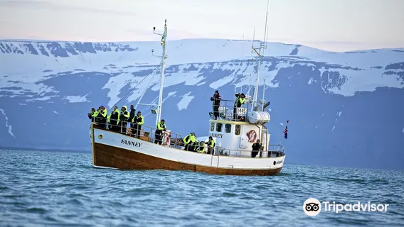 Salka Whale Watching