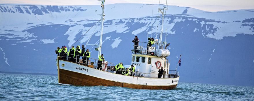 Salka Whale Watching