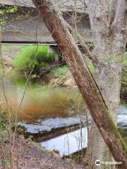 Suwanee Creek Park