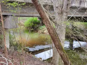 Suwanee Creek Park