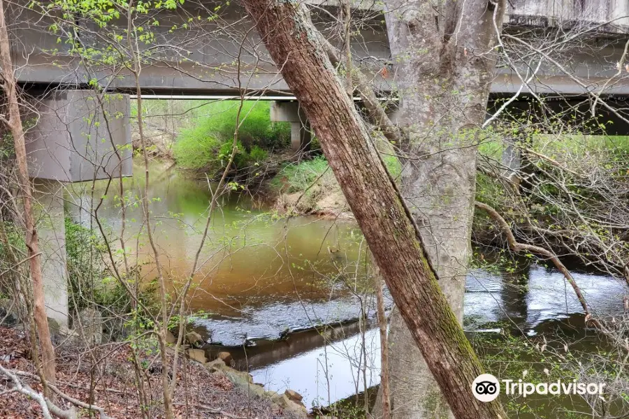 Suwanee Creek Park