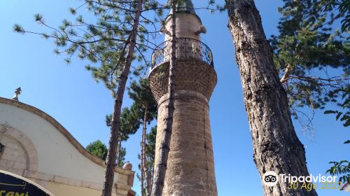 Alibaba Camii