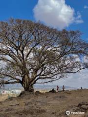 Ethio Cycling Adventures