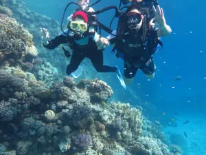 Diving in Hurghada