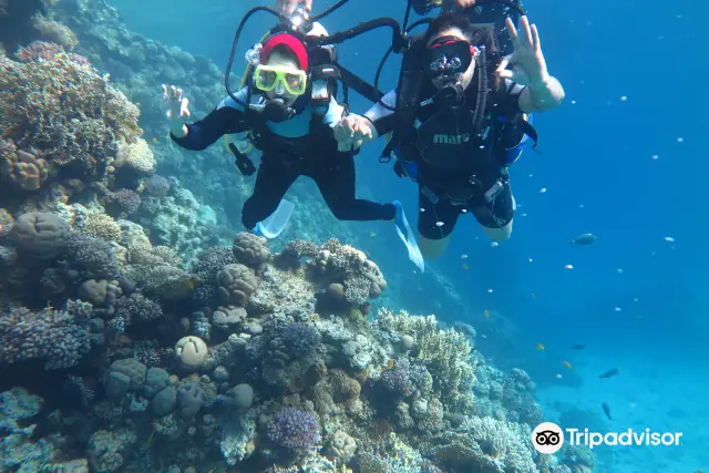 Diving in Hurghada