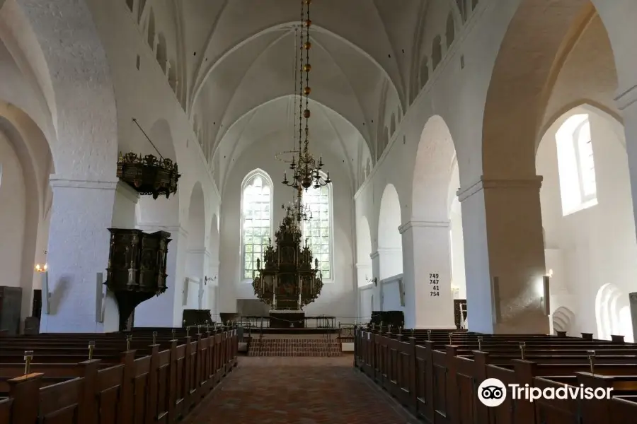 Sct. Catharinae Kirke Og Kloster