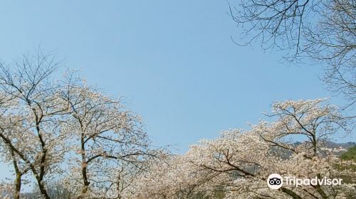 계룡산국립공원